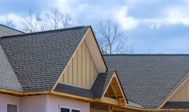 Best Skylight Installation and Repair  in Ixonia, WI